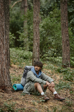 curly young indian hiker with backpack and trekking poles resting while sitting near trees in forest
