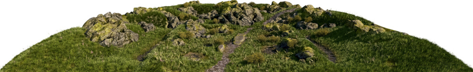 Fototapeta na wymiar grass rocks and path small hill 20 mm lens lit from the side
