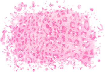 Pink Gold Leopard Print Distressed Background.