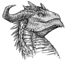 Vintage engraving isolated Japanese Dragon illustration snake ink sketch. Chinese character dragon background tattoo silhouette art. Black and white hand drawn image