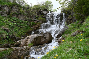 waterfall in the forest