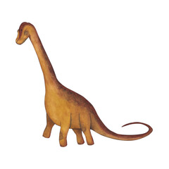 Brachiosaurus. Dinosaur. Watercolor illustration isolated on a white background. Hand drawn