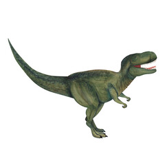 Tirannosaurus. Dinosaur. Watercolor illustration isolated on a white background. Hand drawn