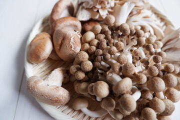 Autumn harvest concept. Various mushrooms in a basket.
Various types of mushrooms. Autumnal natural food.