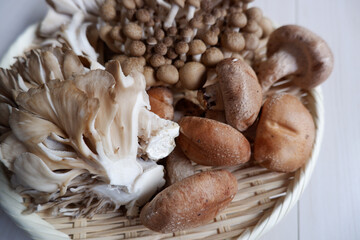 Autumn harvest concept. Various mushrooms in a basket.
Various types of mushrooms. Autumnal natural food.