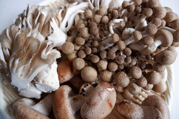 Autumn harvest concept. Various mushrooms in a basket.
Various types of mushrooms. Autumnal natural food.