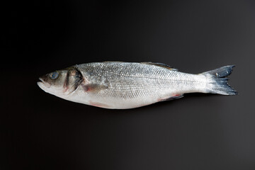 Raw seabass. One fresh sea bass fish on the black background.