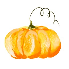 Pumpkin for Halloween or Thanksgiving, for autumn decorative design, Halloween invitation, harvest