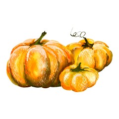 Pumpkin for Halloween or Thanksgiving, for autumn decorative design, Halloween invitation, harvest