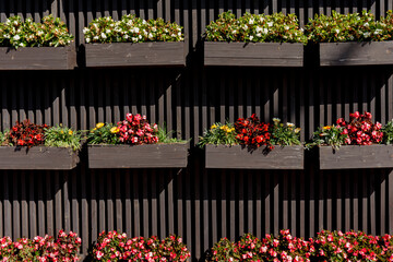 Fototapeta na wymiar Outdoor floral design. wooden pallet planter