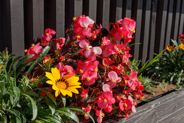 Outdoor floral design. wooden pallet planter