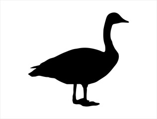 Canada goose silhouette vector art