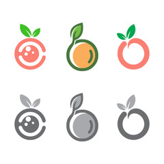 fruit icon orange vector