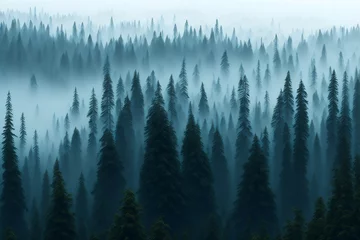 Photo sur Plexiglas Forêt dans le brouillard Misty landscape with fir forest, AI Generative illustratiob