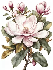 Poster Pink Magnolia Flower PNG and JPG © Fern Liz