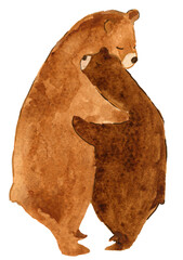 Watercolor Brown Grizzly Bear Illustration