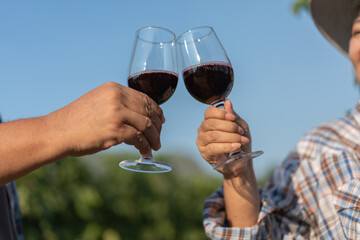 Happy old elderly couple with a glass of red wine celebrate the good harvest of grapes.  Old couple of Asian flavors and checking red outside in a vineyard on a vineyard background.