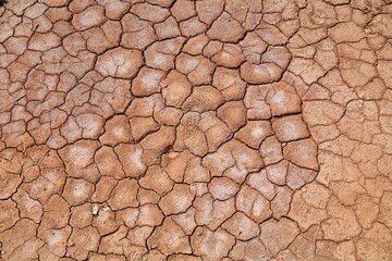 Dried mud - Morocco drought