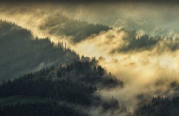 Fototapeta premium silhouettes of morning mountains. foggy morning in the Carpathians. Mountain landscape