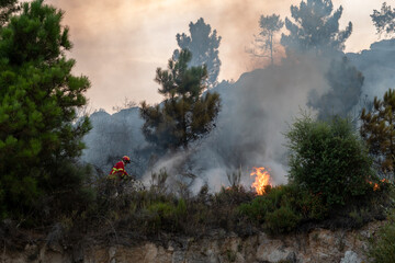 Bombeiro a meio do monte em chamas com a mangueira a apagar um incêndio que arde e deixa uma nuvem de fumo à sua volta
