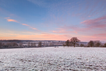 Frost and winter sunrise near Charlbury, Oxfordshire, UK.
