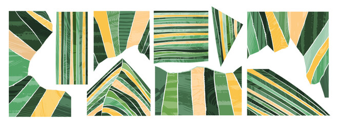 Collage of green textured ripped page. Paper torn rip edge strip piece. Abstract agriculture field or farm card background. Vineyard valley pattern, spring countryside landscape. Organic design set © Maria Petrish