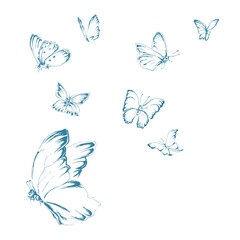 8 hand drawn vector illustrations of flying butterflies. Ink line art stylised graphic drawing collection.