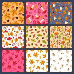 Set of seamless patterns with autumn mushrooms, leaves, berries. Vector graphics.