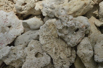 stone or coral wall texture