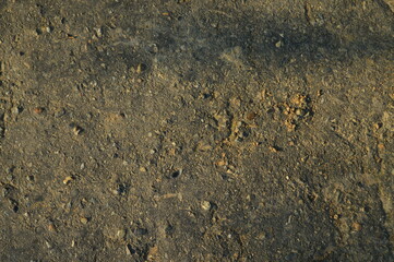 Hard asphalt texture on the small street