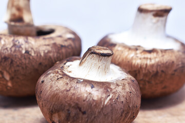 large edible mushrooms on a wooden board with a white background