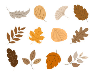 Colorful cartoon autumn leaves. Hand drawn style. Botanical. Vector drawing. Collection of design elements.