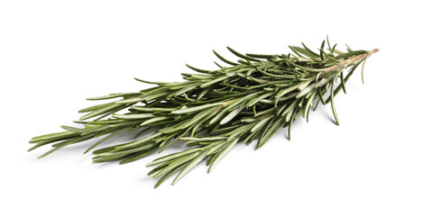 Fototapeta premium Sprigs of fresh rosemary isolated on white