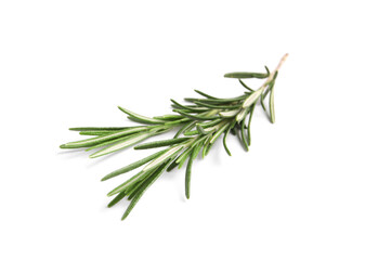Fototapeta premium Sprig of fresh rosemary isolated on white