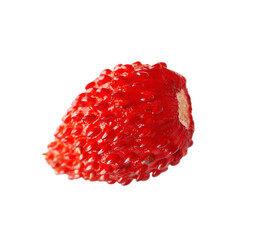 One ripe wild strawberry isolated on white