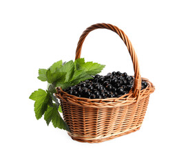 Fototapeta na wymiar Ripe blackcurrants and leaves in wicker basket isolated on white