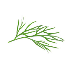 Fototapeta premium Sprig of fresh dill isolated on white