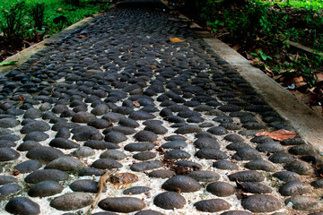 stone path for traditional medicine, can be used for social media background
