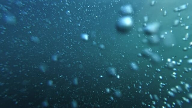 Slow motion footage showcasing air bubbles gracefully ascending from the ocean floor to the water's surface, with a diver releasing bubbles. Ideal for an abstract and serene natural background.