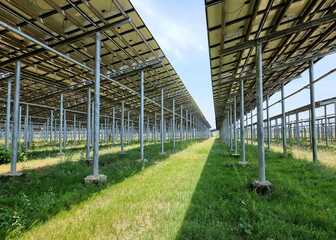 The perspective under Solar PV panel for Ground Mounted Solar farms Power Plant.