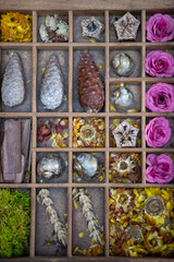 Assortiments de plantes séchées