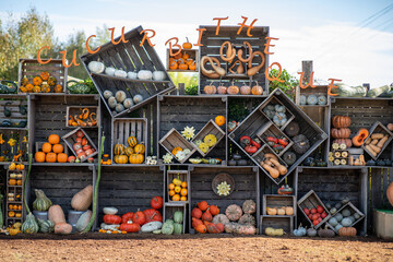 Décoration de citrouilles