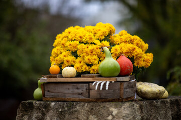 Pot de fleurs jaunes