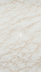 Full screen background with monochrome white marble