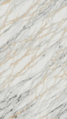 Obraz premium Full screen background with monochrome white marble