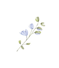 Watercolor delphinium floral branch png, elegant wedding arrangement, blue blossom flowers.