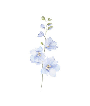 Watercolor delphinium floral branch png, elegant wedding arrangement, blue blossom flowers.