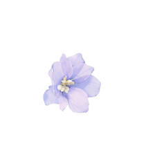 Watercolor delphinium flower png, elegant realistic blue blossom flower clipart.