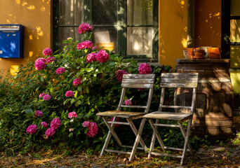 A resting place in the shade