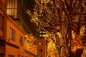 イルミネーションが輝くホテルの通り